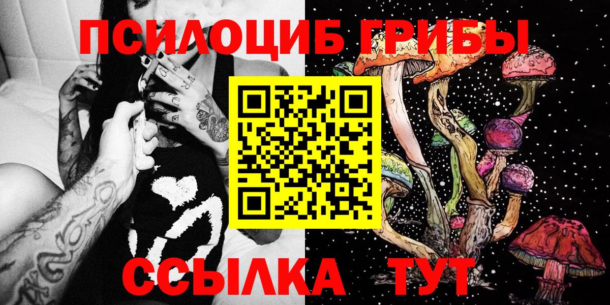 Вязьма  Псилоцибиновые грибы прущие грибы  Вход с VPN 
